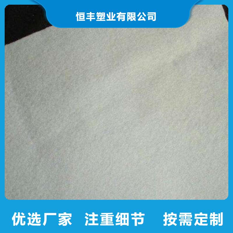 复合土工膜凸结点钢塑土工格栅应用领域