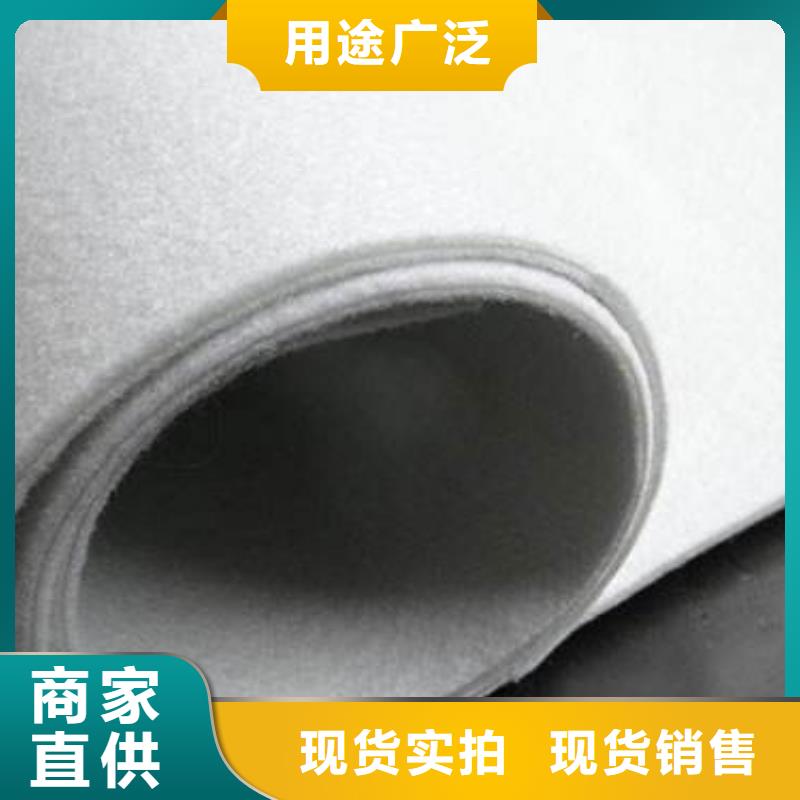 復合土工膜護坡土工網工廠直銷