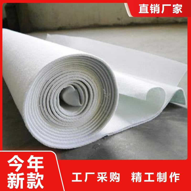 复合土工膜凸结点钢塑土工格栅应用领域