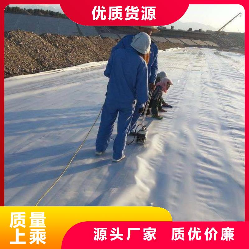 復合土工膜鋼塑土工格柵精選廠家好貨
