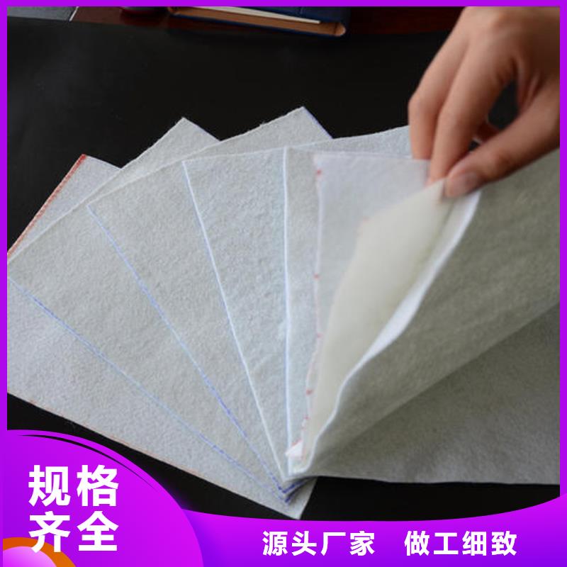 复合土工膜凸结点钢塑土工格栅应用领域