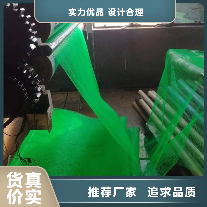 三維植被網雙向塑料土工格柵廠家規格全