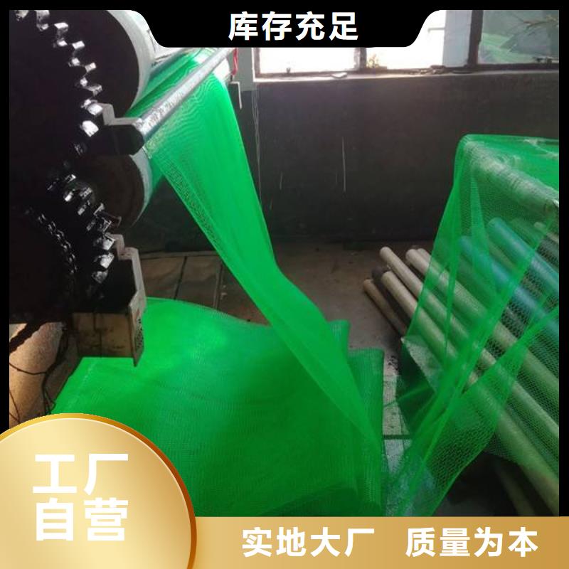 三維植被網(wǎng)-三維植被網(wǎng)價(jià)格/廠家/批發(fā)