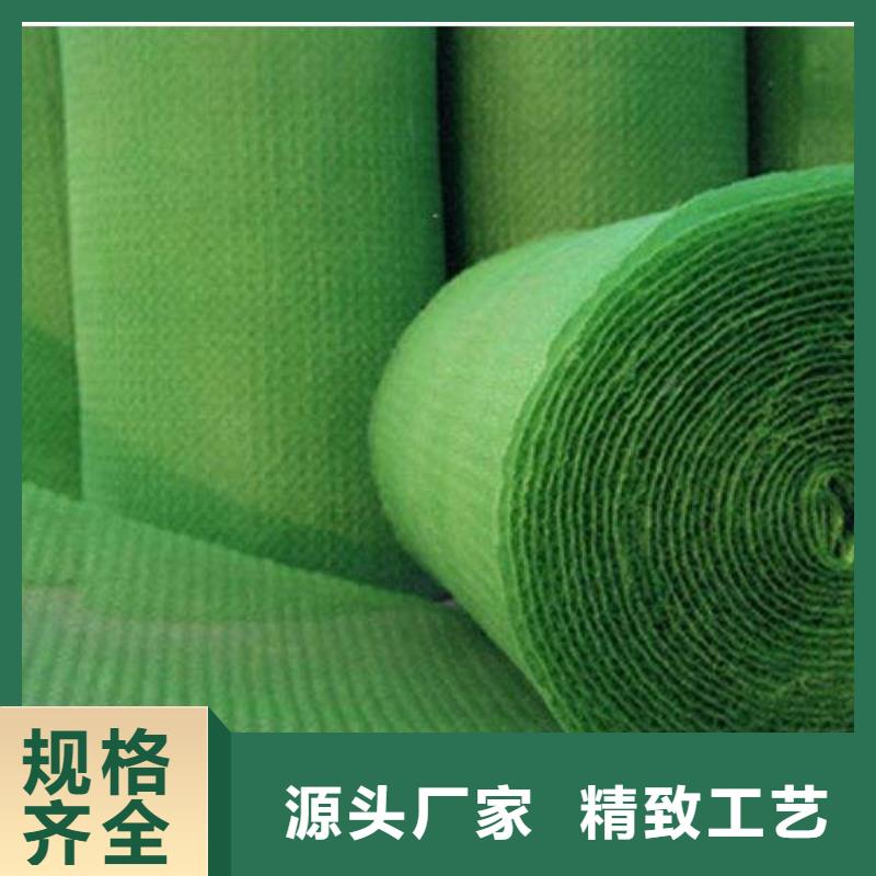 三維植被網雙向塑料土工格柵廠家規格全
