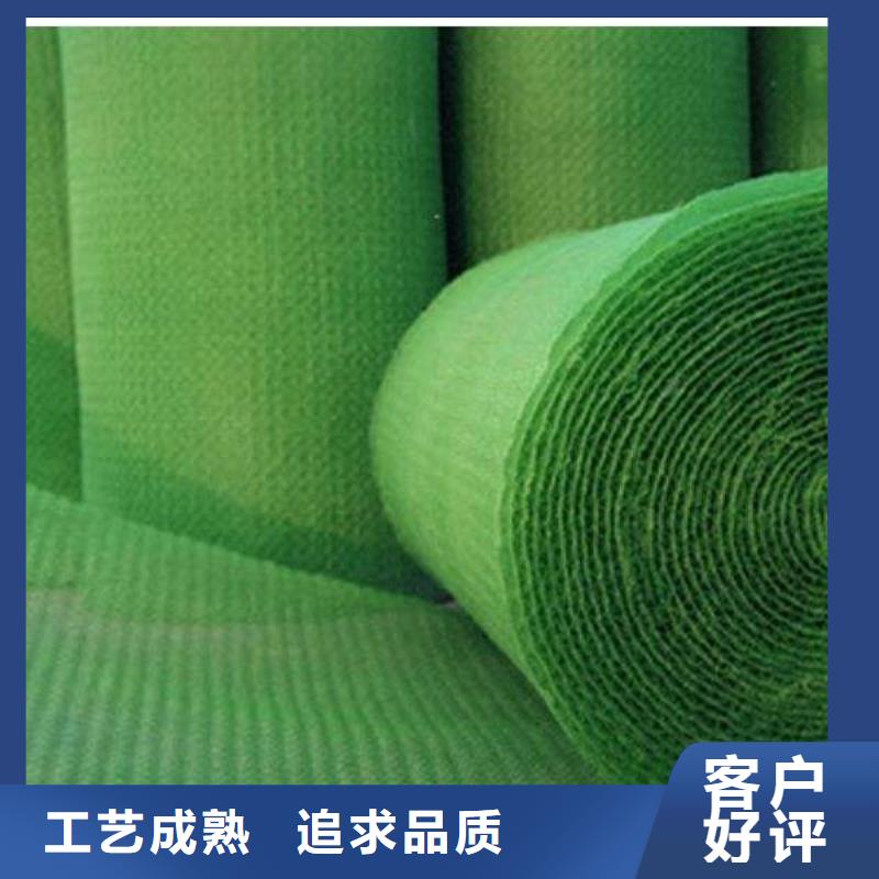 三维植被网土工格室重信誉厂家