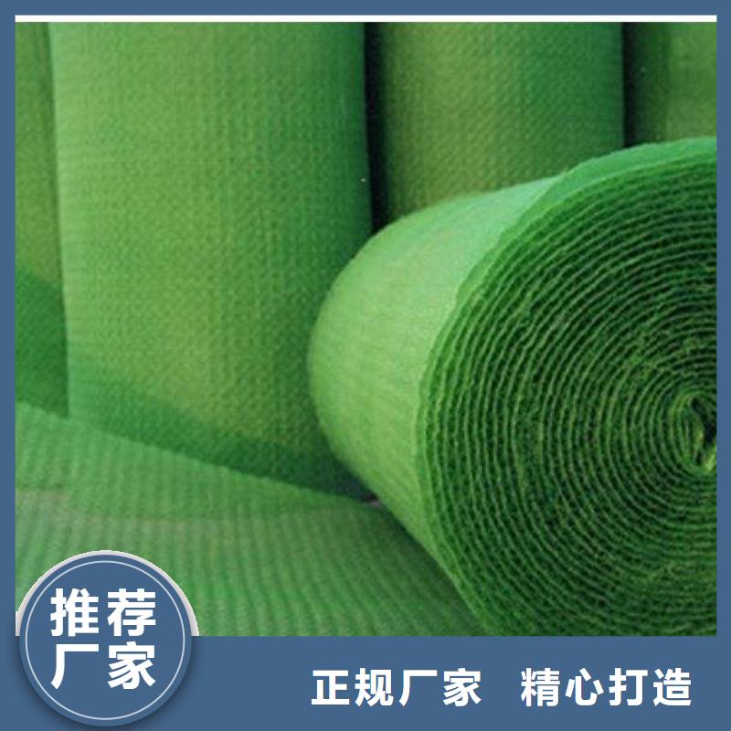 三維植被網PP焊接土工格柵品牌專營