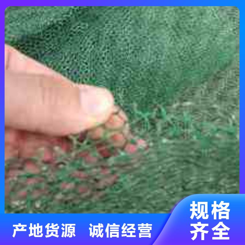 土工格柵-土工布-土工膜-三維植被網-廠家直銷