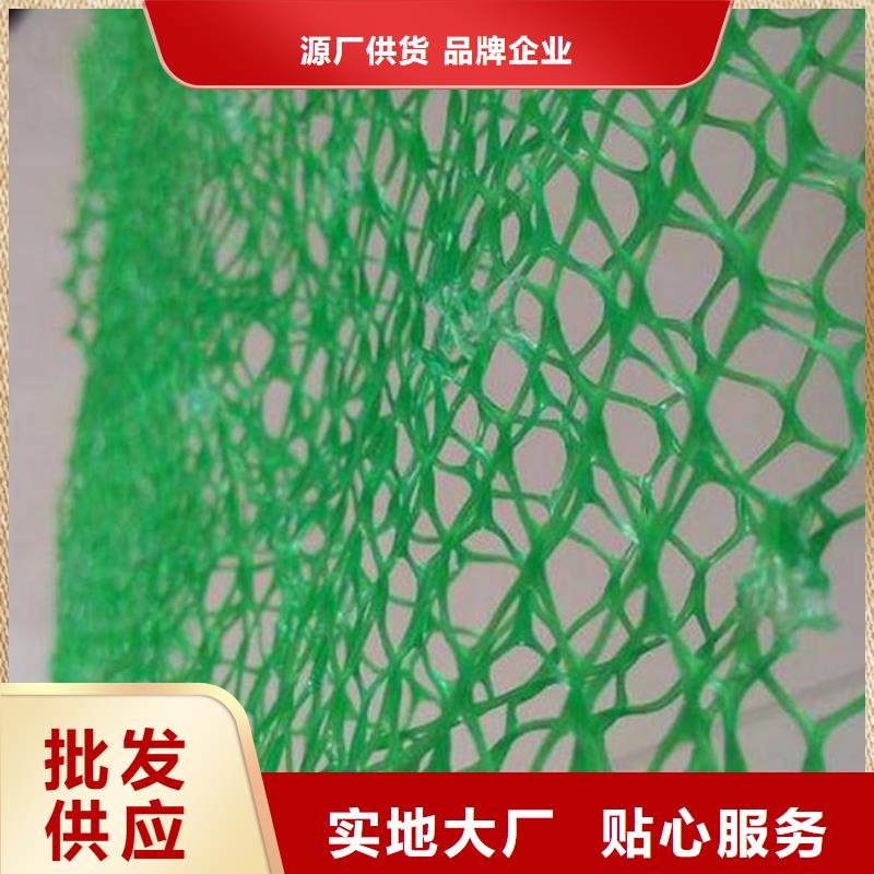 三維植被網土工格室重信譽廠家