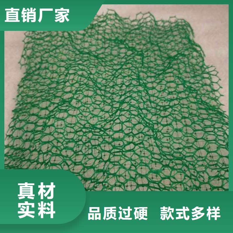 三維植被網-三維植被網廠家-三維植被網價格