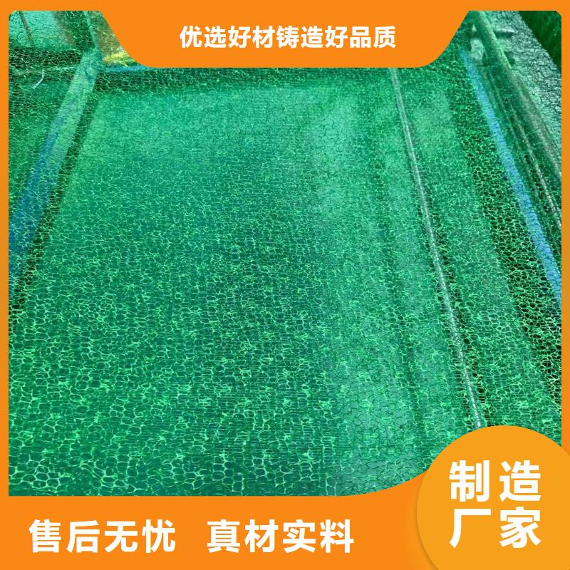 土工格柵-土工布-土工膜-三維植被網-廠家直銷