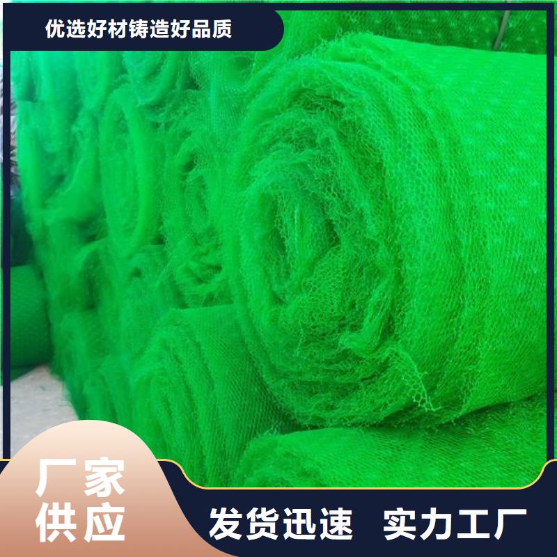 三維植被網-三維植被網廠家-三維植被網價格