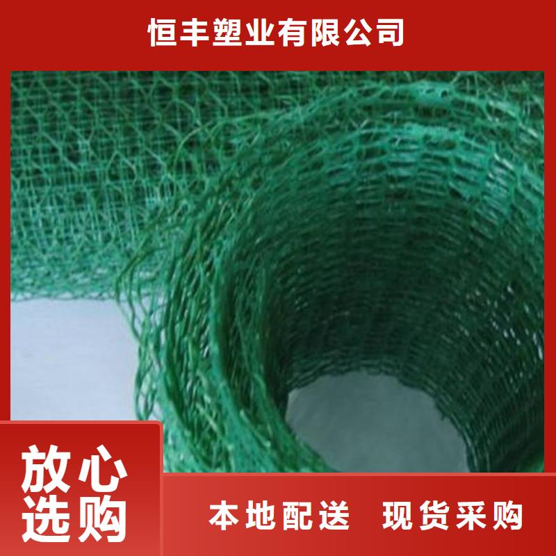 三維植被網(wǎng)三維土工網(wǎng)墊廠家實(shí)力雄厚