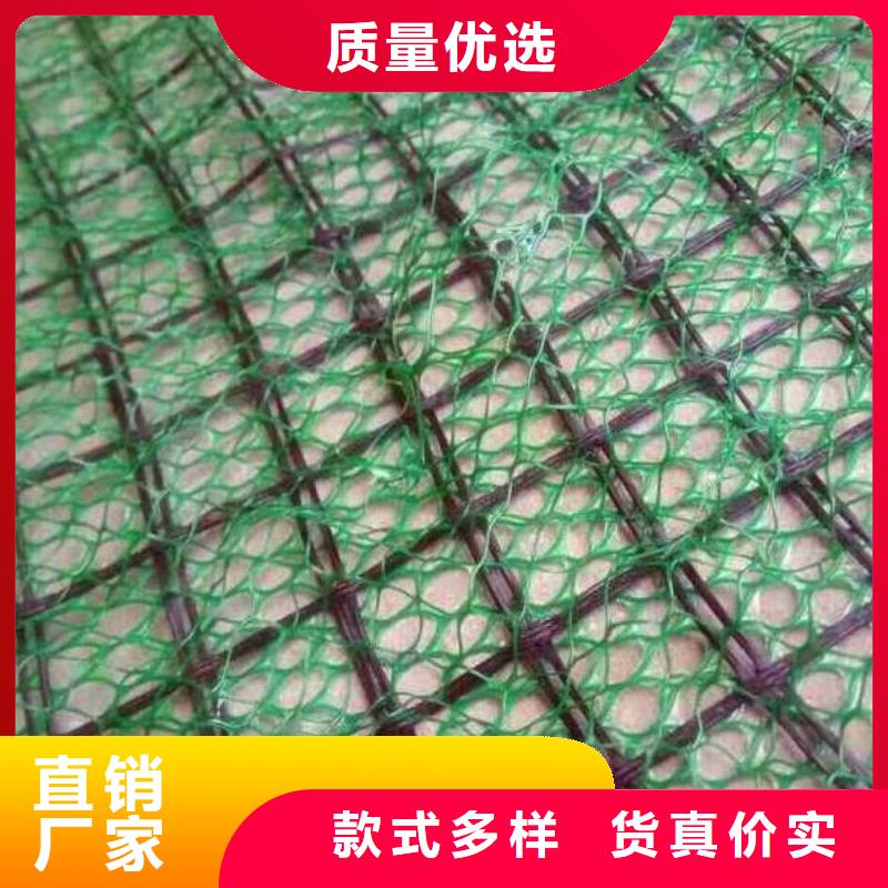 土工格柵-土工布-土工膜-三維植被網-廠家直銷