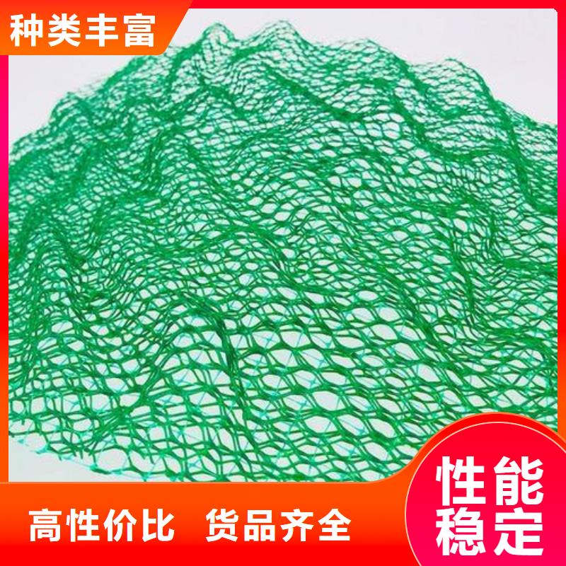 三維植被網(wǎng)-三維植被網(wǎng)廠家-三維植被網(wǎng)價格