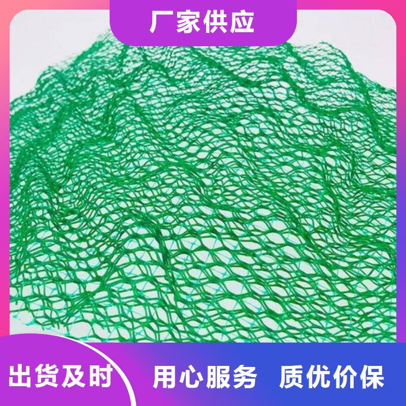 三維植被網(wǎng)三維土工網(wǎng)墊廠家實(shí)力雄厚