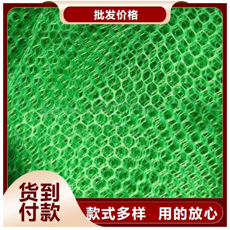 什么是三維植被網(wǎng),有什么特點(diǎn)