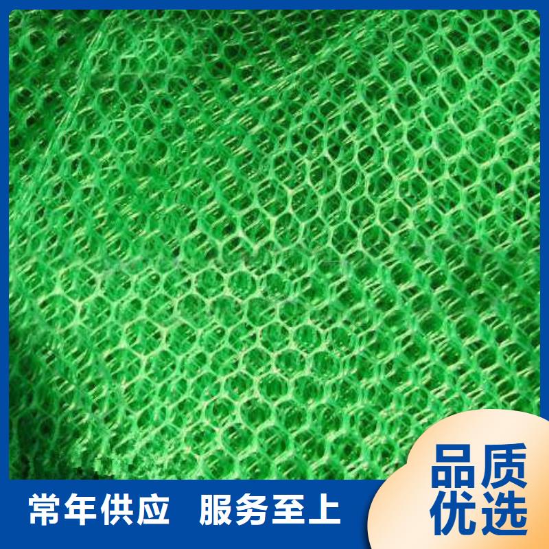 三維植被網復合土工膜實力優品