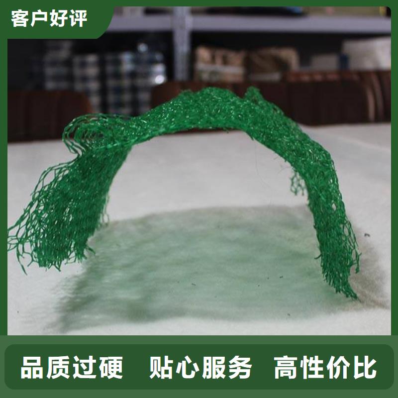 三維植被網復合土工膜實力優品