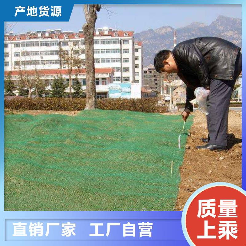 什么是三維植被網(wǎng),有什么特點(diǎn)