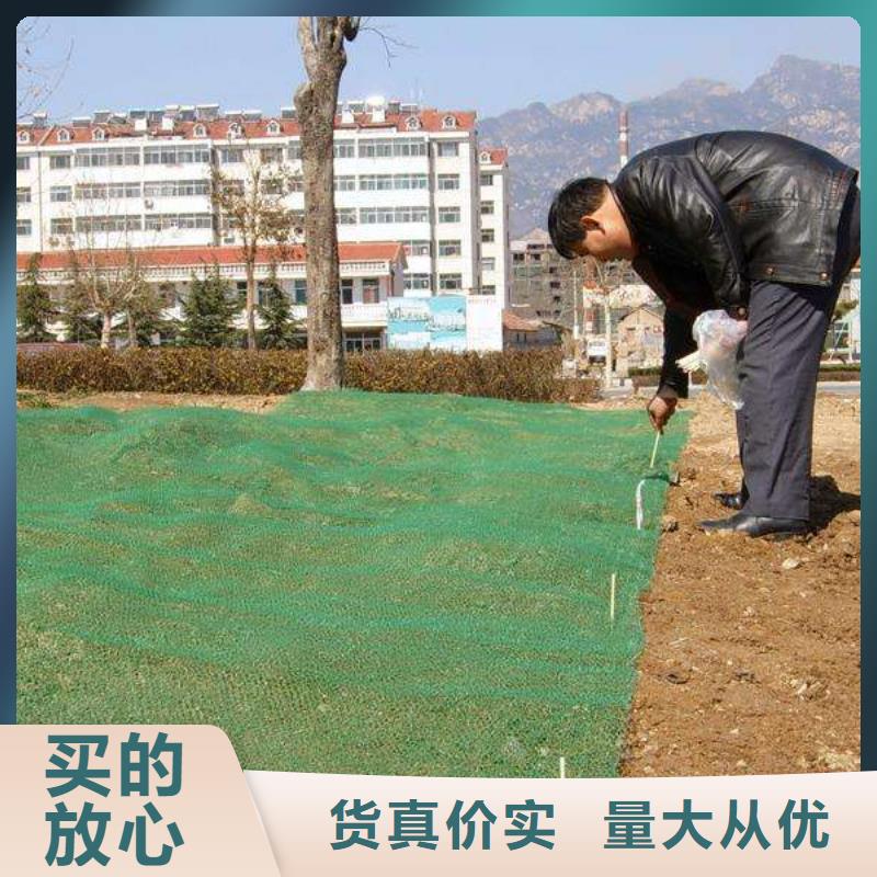 三維植被網|三維網墊植草護坡|三維土工網墊廠家