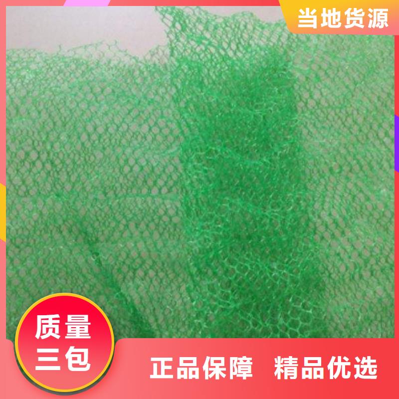 三維植被網-三維植被網廠家-三維植被網價格