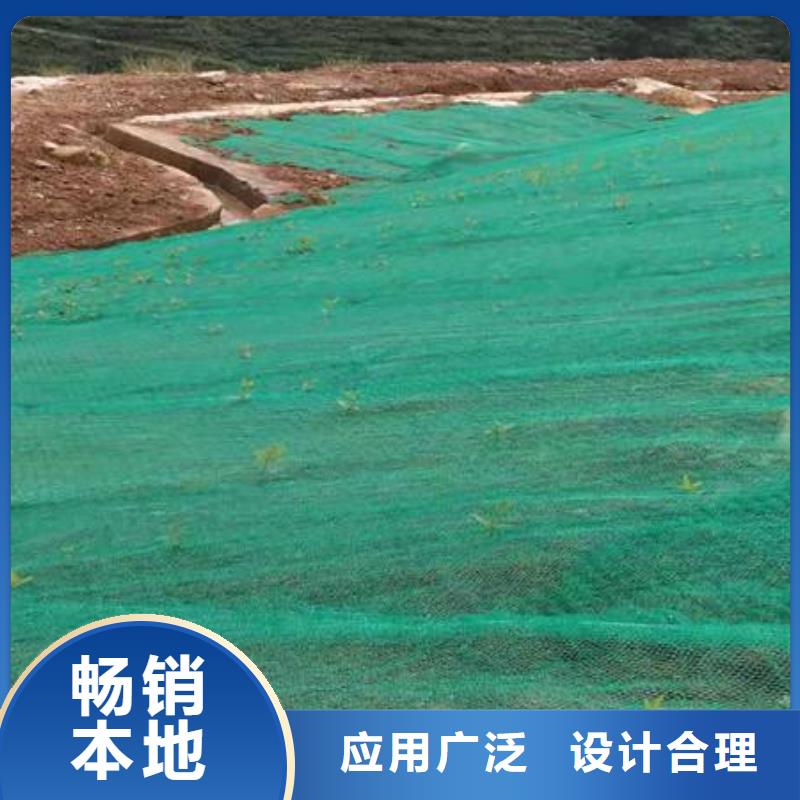 三維植被網|三維網墊植草護坡|三維土工網墊廠家