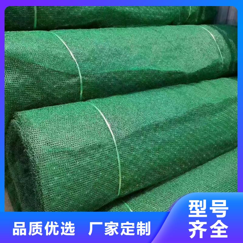 什么是三維植被網(wǎng),有什么特點(diǎn)