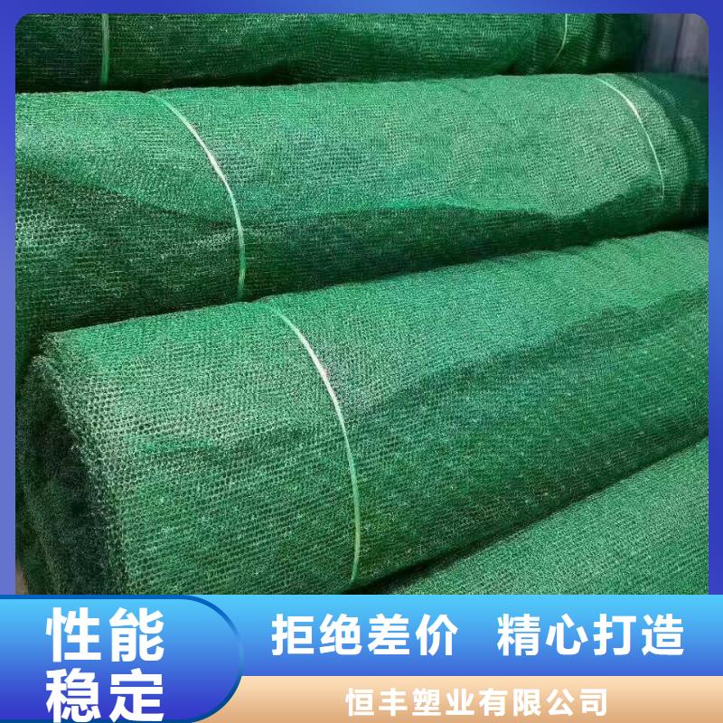 三維植被網-三維植被網廠家-三維植被網價格