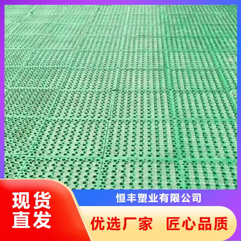 三維植被網雙向塑料土工格柵廠家規格全