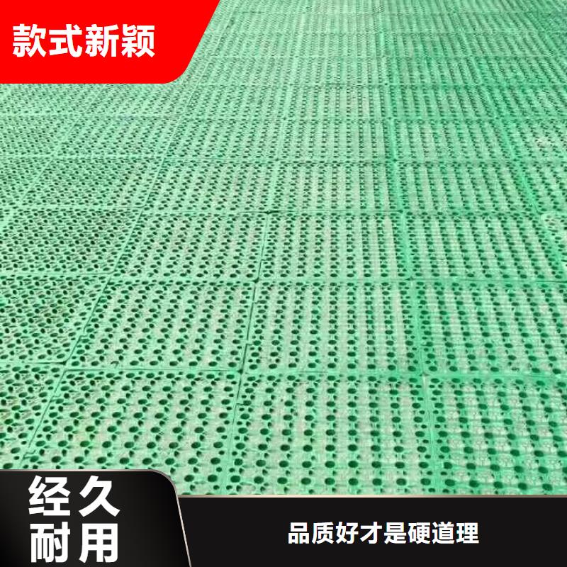 【三維植被網-塑料盲溝市場報價】