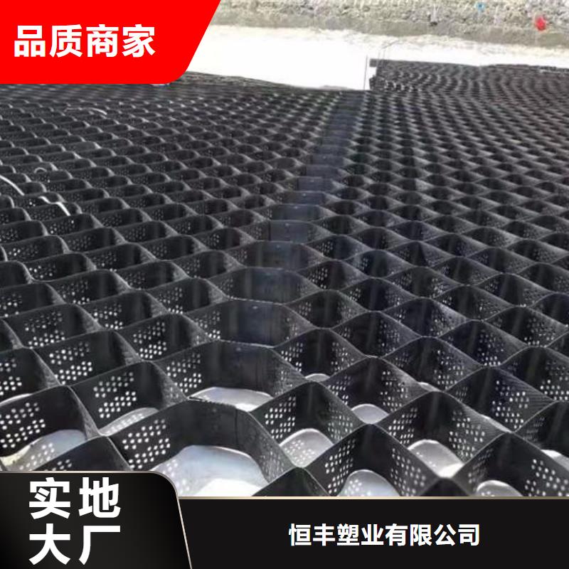 蜂窩土工格室廠家零售商
