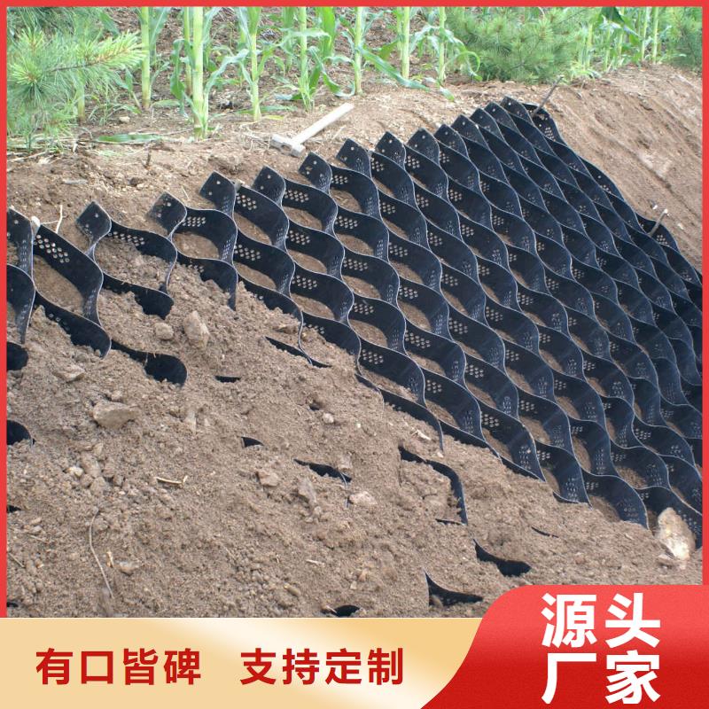 三維復合排水網價格-土工格室-土工格柵-土工膜-排水板山東億路通