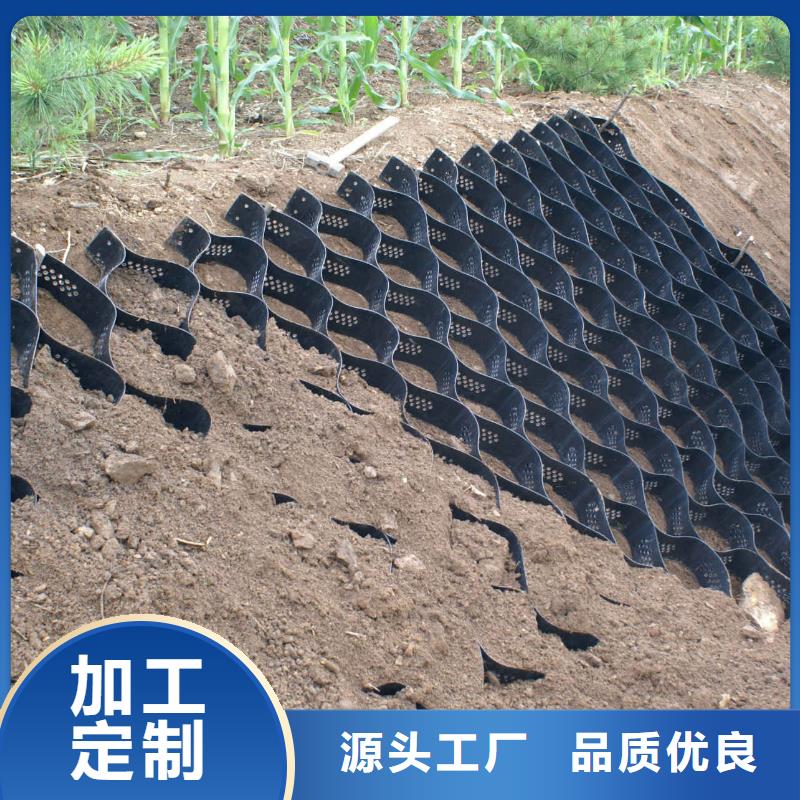 蜂窩土工格室廠家零售商