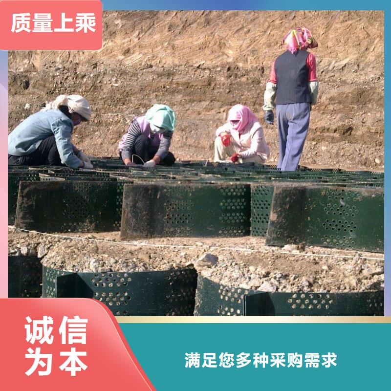 土工格室,蜂巢格室廠家現貨批發