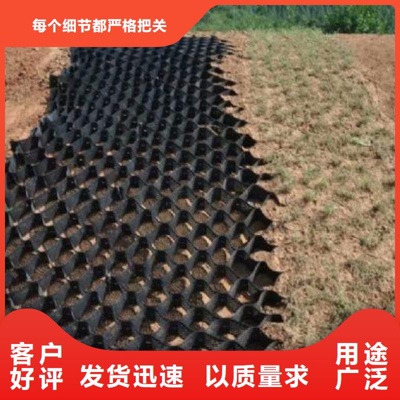 三維復合排水網價格-土工格室-土工格柵-土工膜-排水板山東億路通