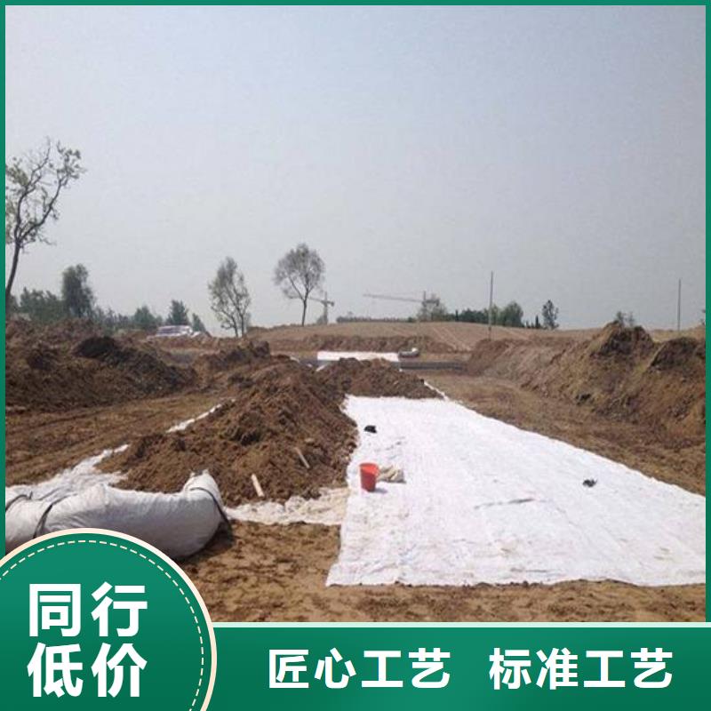 环保膨润土防水毯
