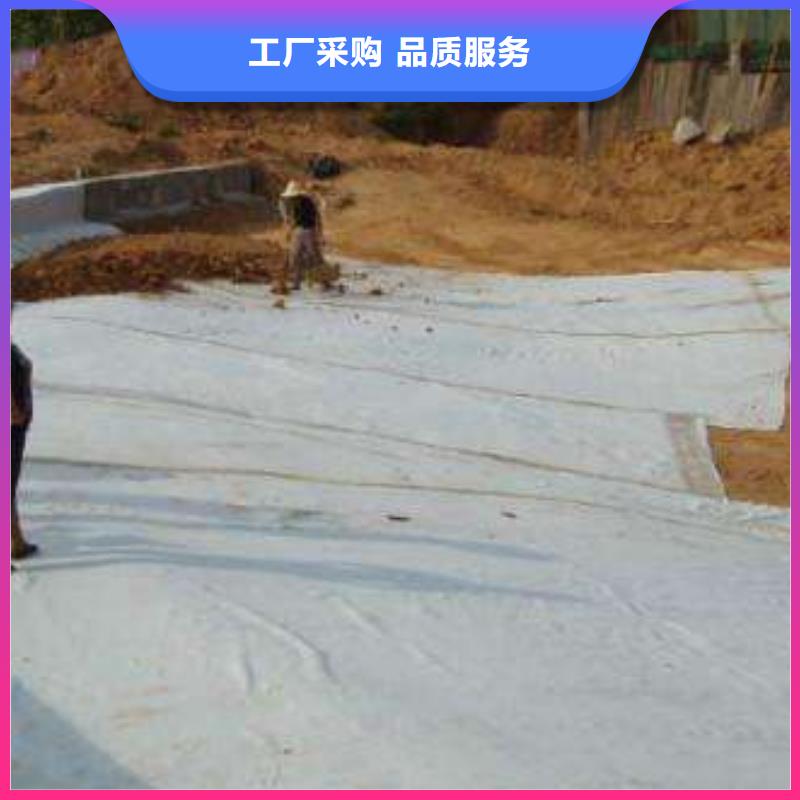 膨潤土防水毯貨源充足