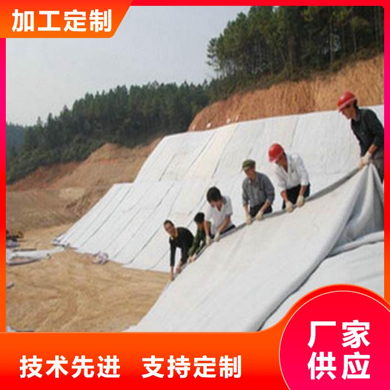 【膨潤土防水毯】HDPE土工膜廠家直營