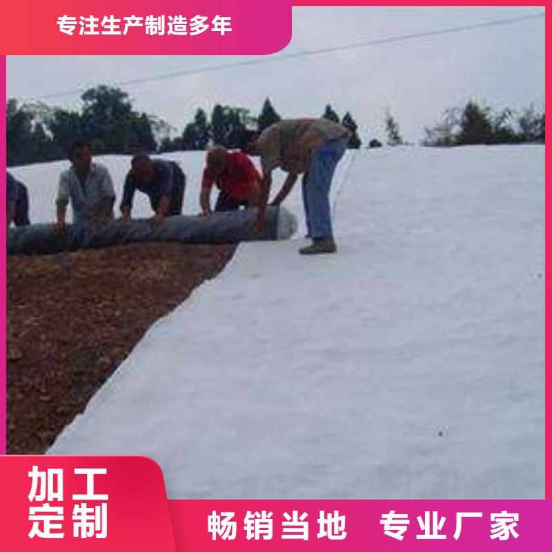 短丝土工布视频-短丝土工布(恒丰)覆盖地域青海省海南|黄南|果洛|西宁|玉树|海西|海东