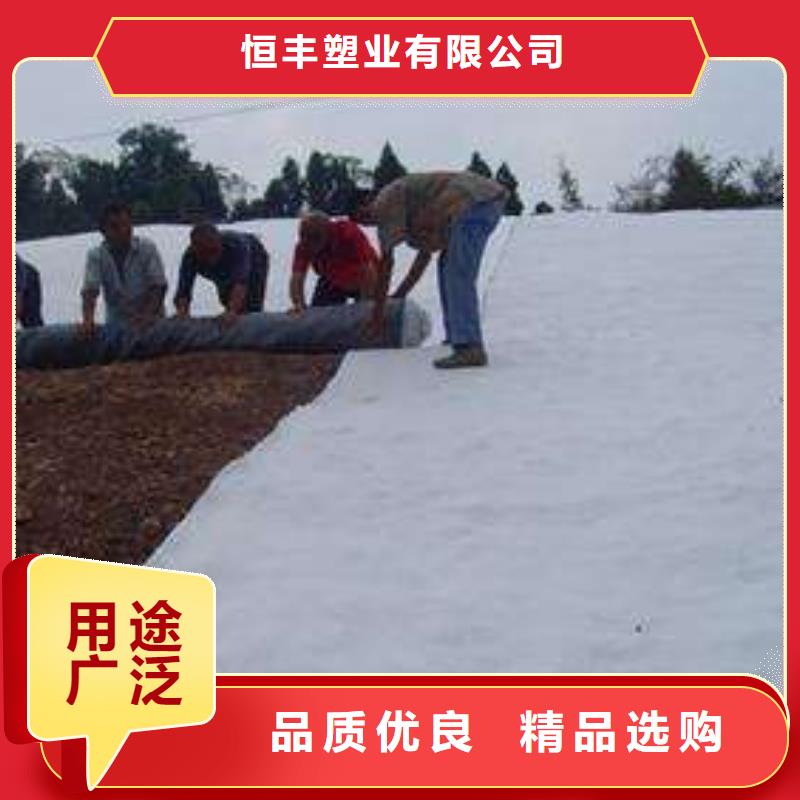 膨潤土防水毯天然鈉基膨潤土防水毯