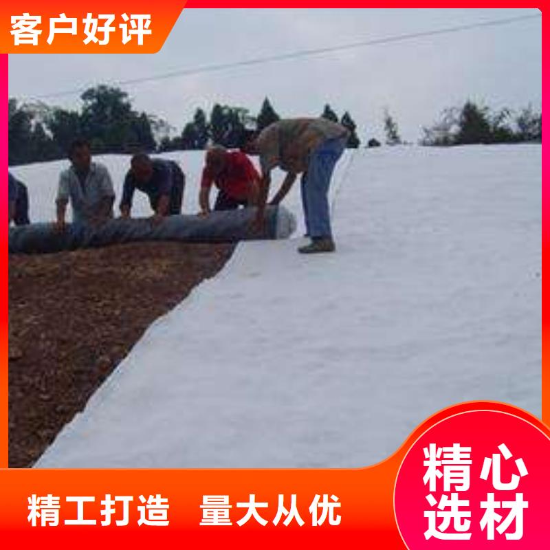 环保膨润土防水毯