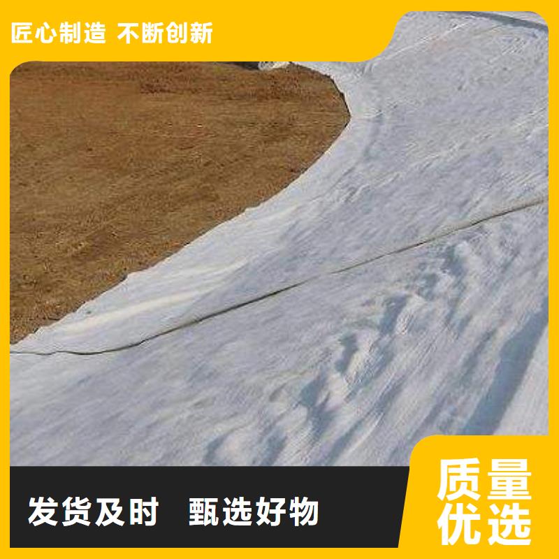 【膨潤土防水毯】HDPE土工膜廠家直營