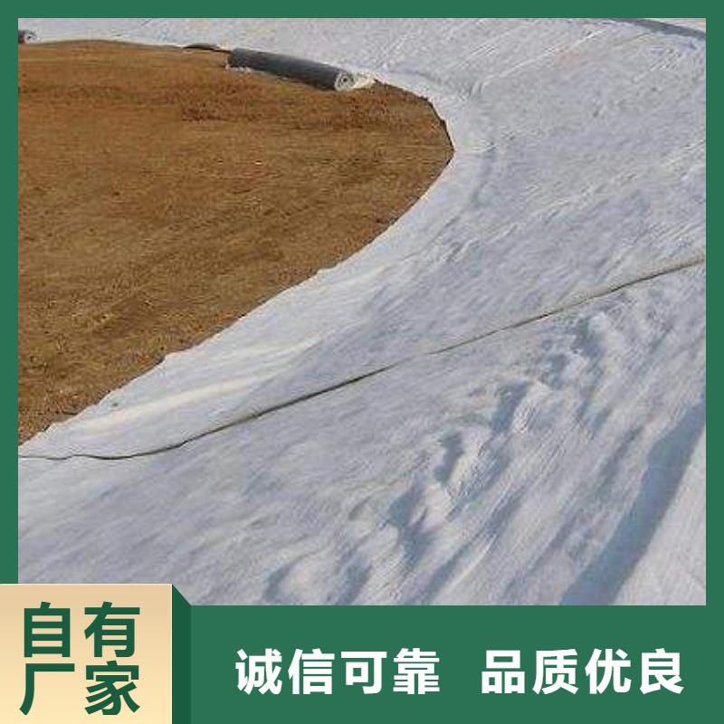 膨润土防水毯生产厂家货源充足-现货发