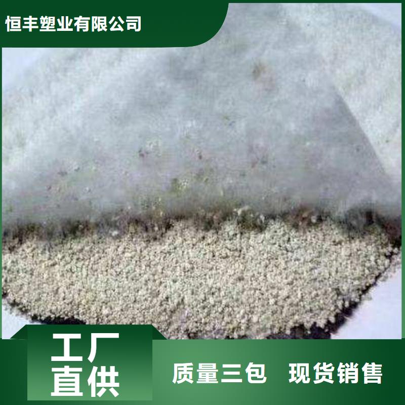 膨润土防水毯天然钠基膨润土防水毯