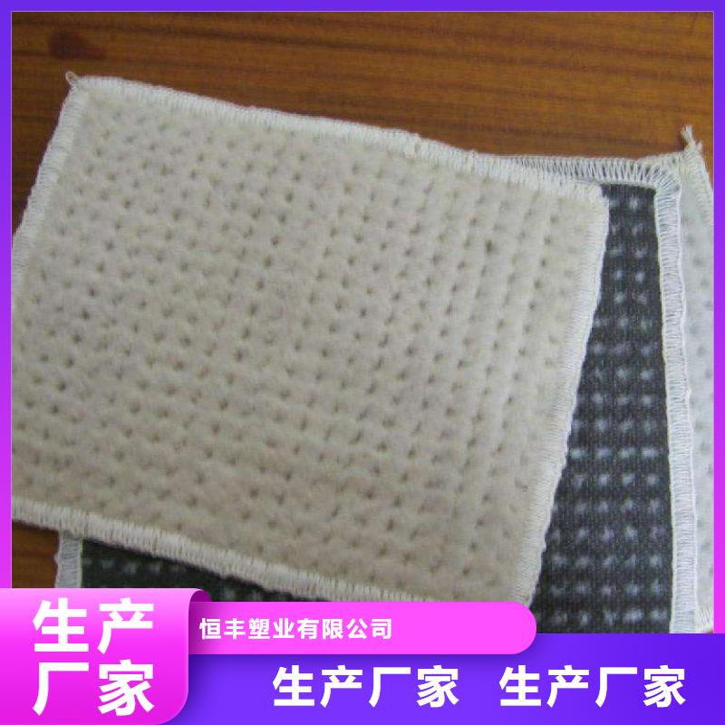 濟(jì)源市膨潤(rùn)土復(fù)合防水毯