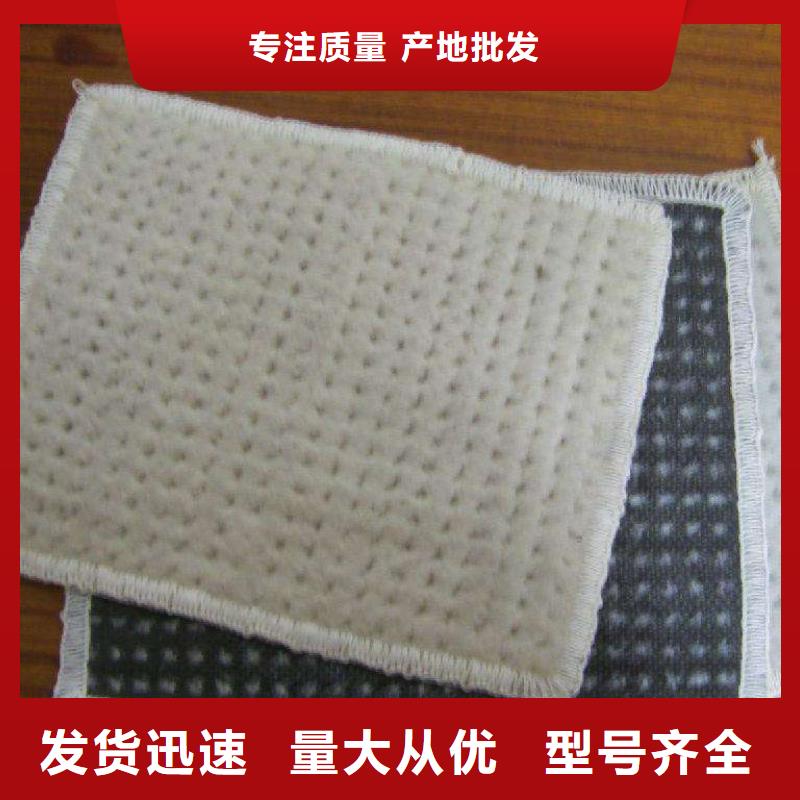 膨潤土防水毯天然鈉基膨潤土防水毯