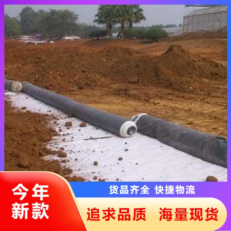膨潤土防水毯天然鈉基膨潤土防水毯