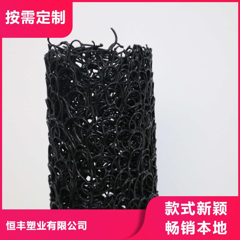塑料盲溝【PP焊接土工格柵】廠誠信經營