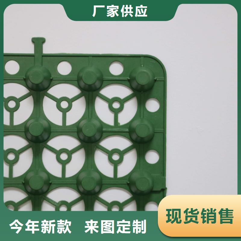 排水板,土工HDPE膜定制銷售售后為一體