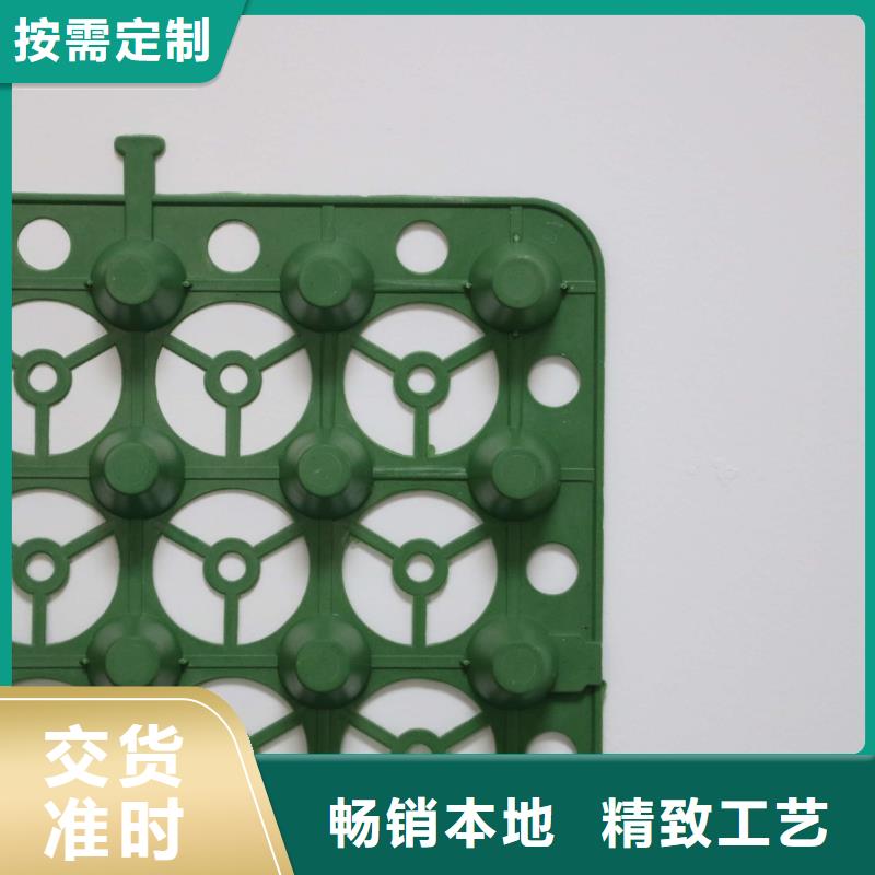 蓄/排水板